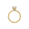 Vine Halo Lab Grown Diamond Ring