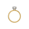 Hidden Halo Lab Grown Diamond Ring