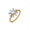 Starlit Cluster Lab Grown Diamond Ring - Perspective View