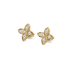 Clove Embrace - Lab Diamond Stud Earrings