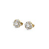 Lukson Encased Lab Grown Diamond Solitaire Earrings
