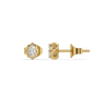 Royal Marquise - Lab Diamond Stud Earrings