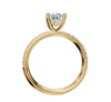 Yellow Gold | Halo | Oval