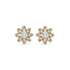 Star Twist Lab Grown Diamond Studs