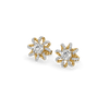Star Twist Lab Grown Diamond Studs