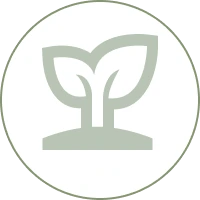 Tree Assigned