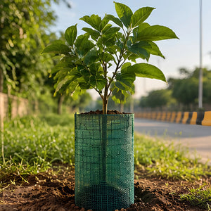 TreePlanted