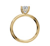 Yellow Gold | Solitaire | Round